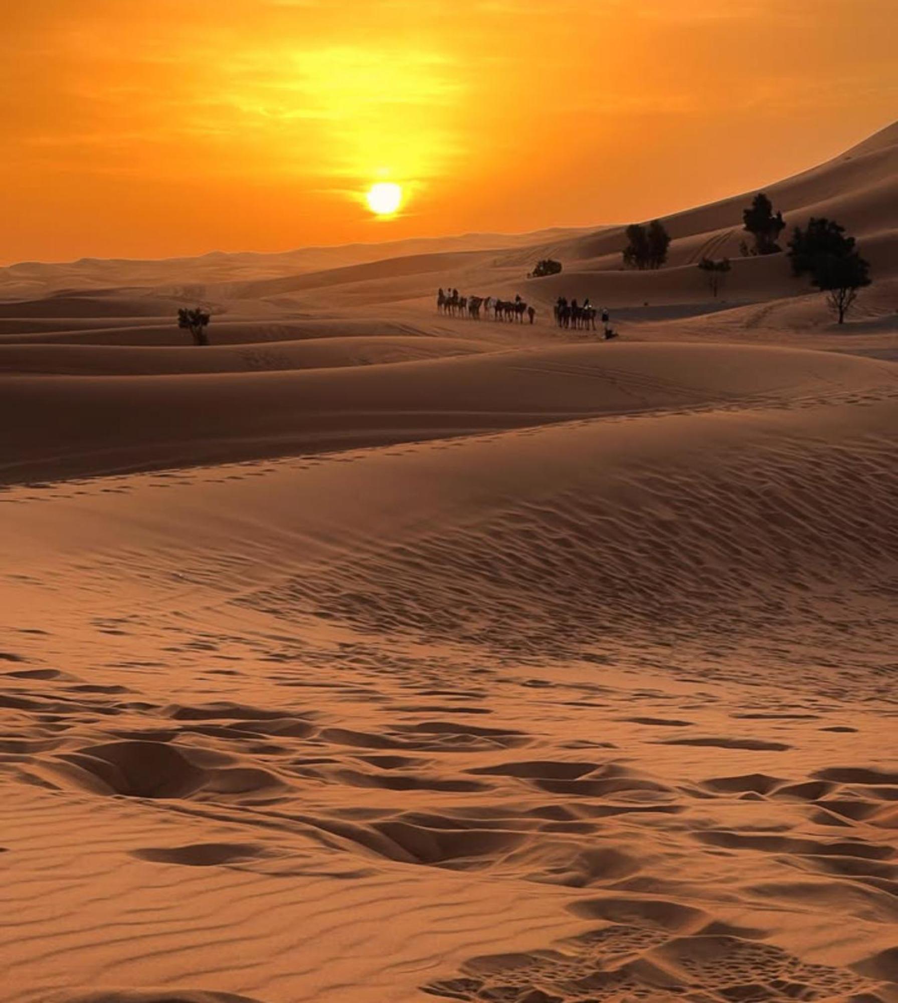 Layali Luxury Desert Camp Мерцуга Екстериор снимка